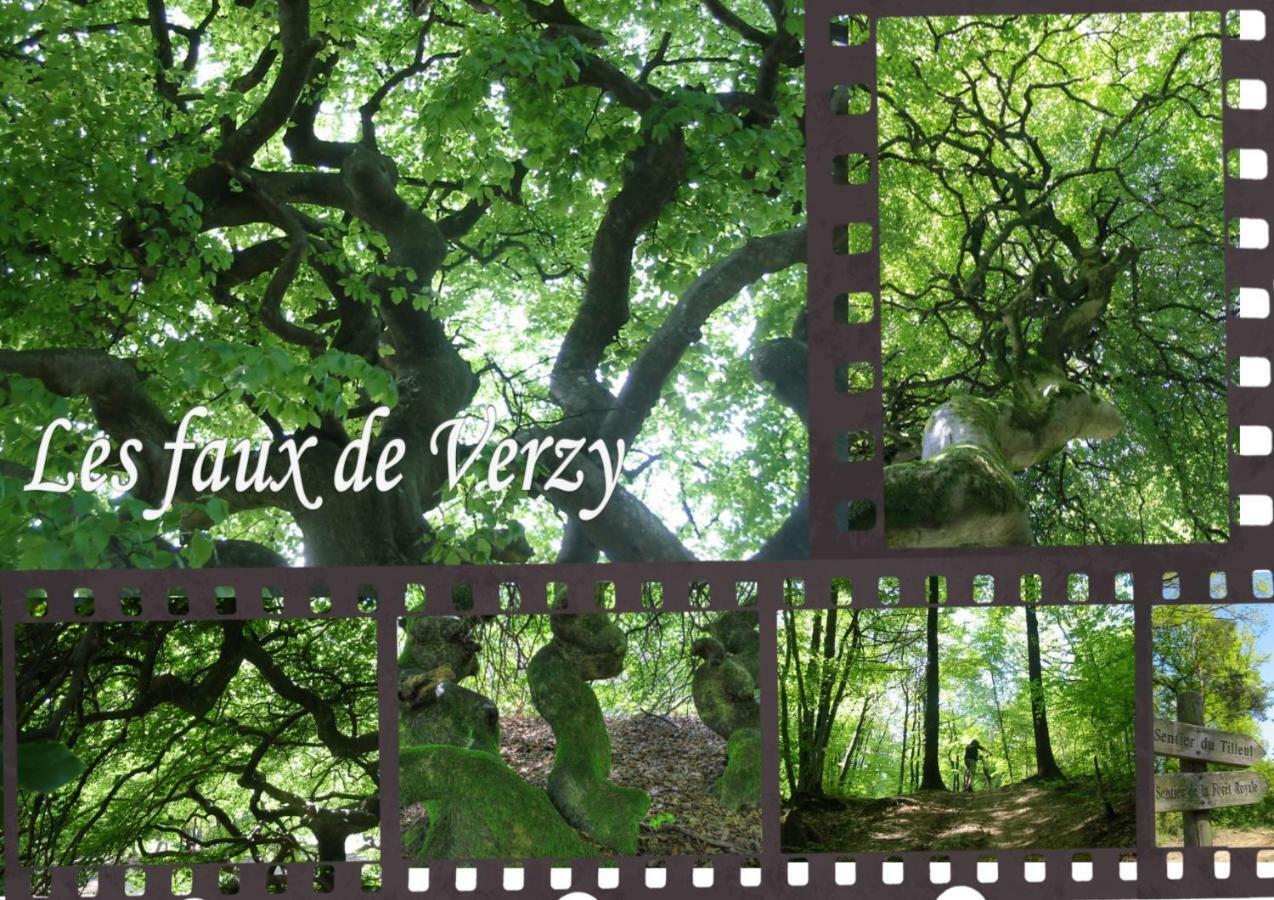 Bedinreims "Burgundy Bottle" 110M2 Exceptional, 4 Chambres Doubles, 2 Bain, Free Park & Wifi, Tout Equipe Buitenkant foto